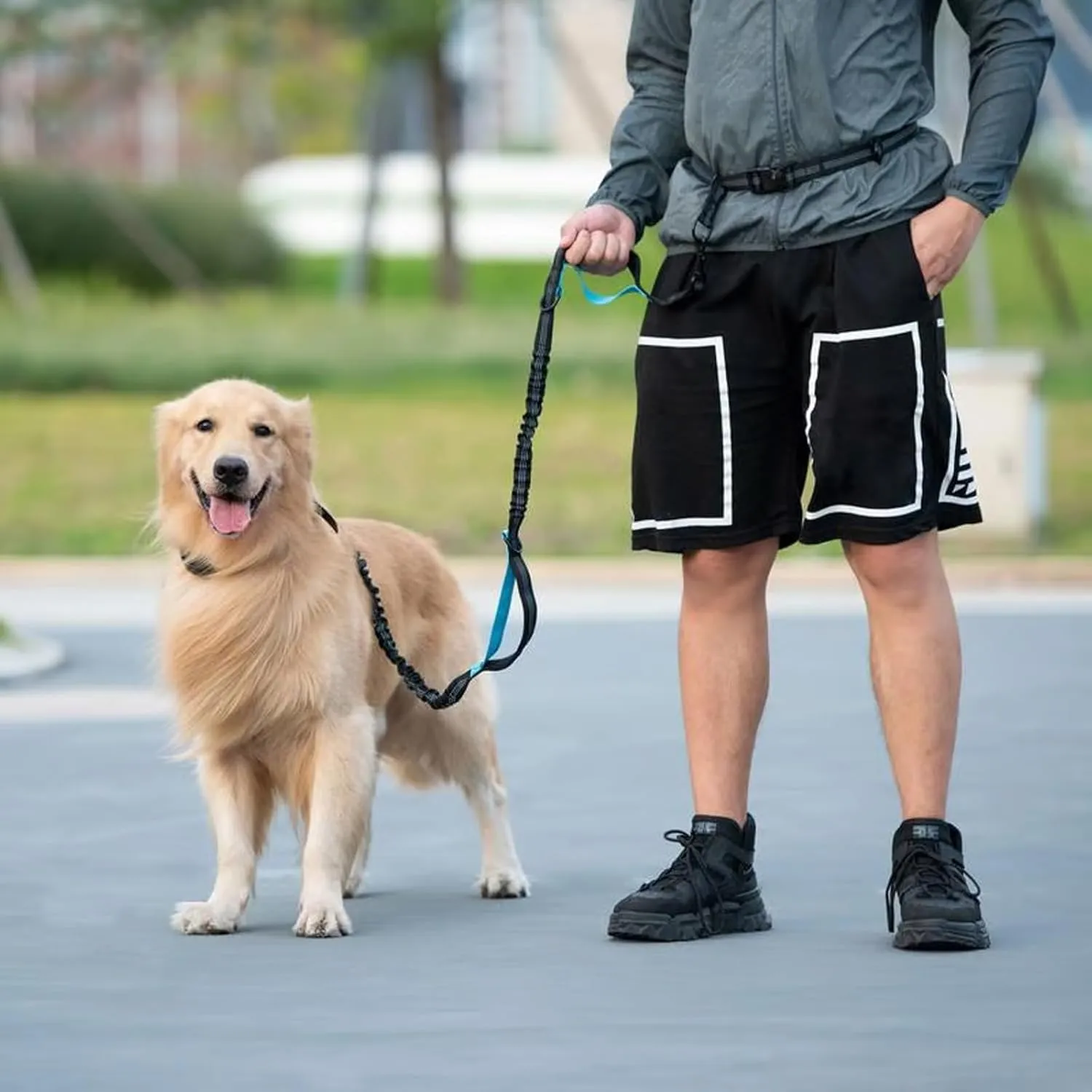 Dog Walking Belt Bag with Adjustable Waist Belt, Hands Free Dog Leash with Zipper Pouch, Reflective Bungee Running Long Extendable Dogs Lead for Large Dogs Retractable Bungee(Lake Blue)