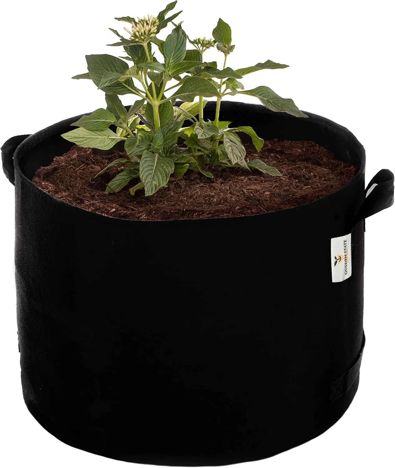 Grow Bags: 5-Pack (Size: 25 Gallon): 300gsm Black Felt Fabric, Biodegradable and eco-Friendly Material. (Handles   Dumping Handles-pat.Pend).