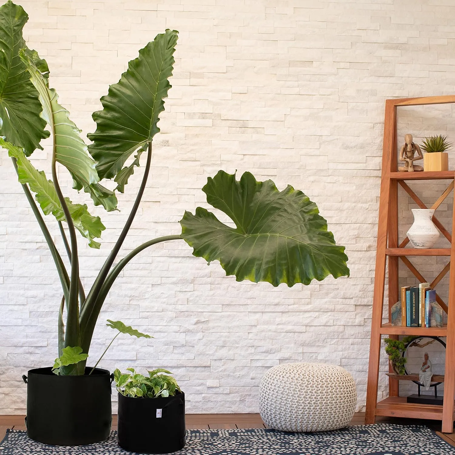 Grow Bags: 5-Pack (Size: 25 Gallon): 300gsm Black Felt Fabric, Biodegradable and eco-Friendly Material. (Handles   Dumping Handles-pat.Pend).