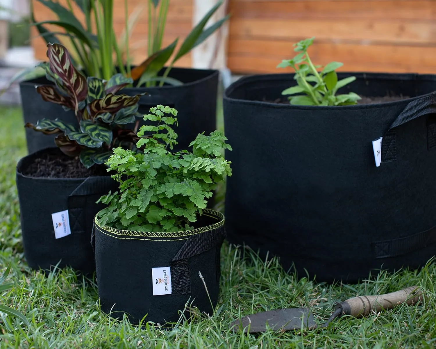 Grow Bags: 5-Pack (Size: 25 Gallon): 300gsm Black Felt Fabric, Biodegradable and eco-Friendly Material. (Handles   Dumping Handles-pat.Pend).