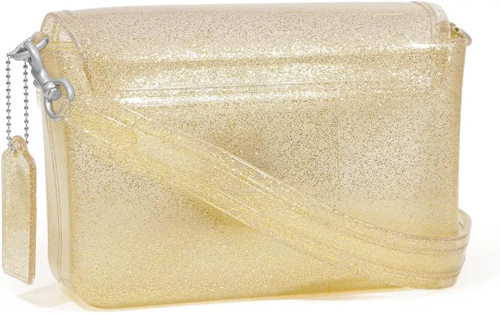 Jelly Tabby Bag - Clear Crossbody Bag for Women with Chain Vintage-Inspired Convertible Wristlet and Shoulder Bag