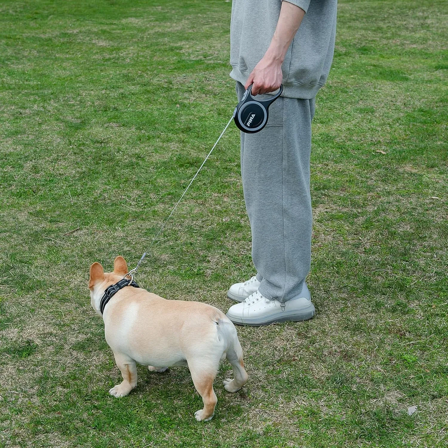 PINA Retractable Dog Leash, 26ft Dog Leash for Small Medium Large Dogs Up to 110lbs, 360° Tangle-Free Strong Reflective Nylon Tape, with Anti-Slip Handle, One-Handed Brake, Lock - 2PACK